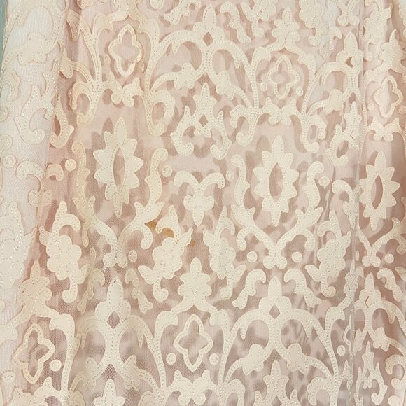NWT Katherine Kelly Laser Cut Blush Skirt - Picture 4 of 5